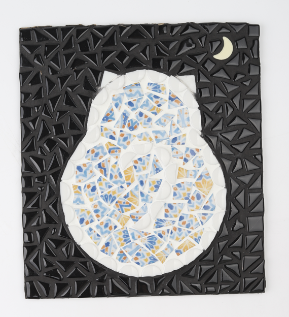 🌙Moonlit Whispers- A Cat Basking in Moonlight🐱